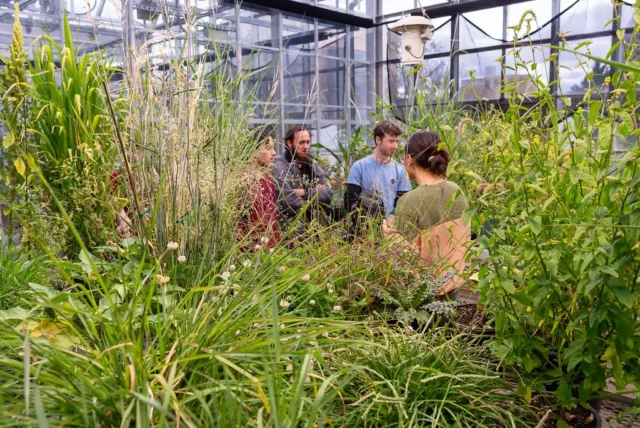 Attendees nearly disappear amid dense vegetation at an Earth Fest event.