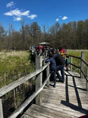 ef-2024-6 Participants spread out on a walking pier overlooking a marsh during a wildlife viewing event at Earth Fest.